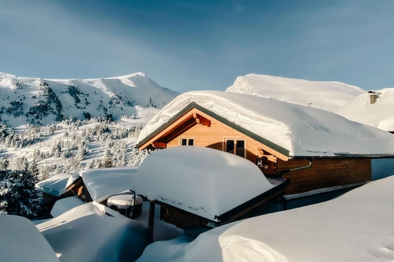 Heidi Chalets Falkert Heidialm - Chalets Bergwinter Patergassen Bagian luar foto