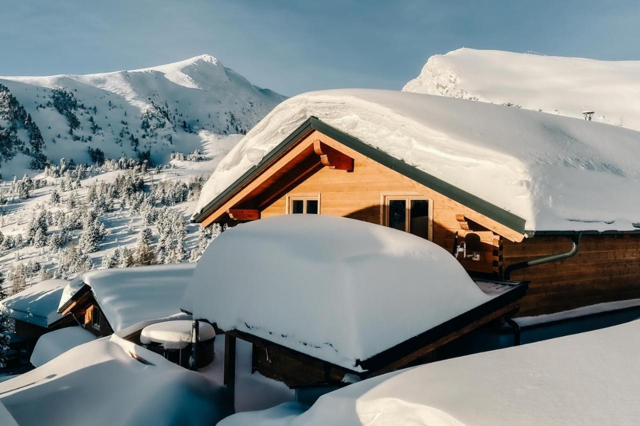 Heidi Chalets Falkert Heidialm - Chalets Bergwinter Patergassen Bagian luar foto