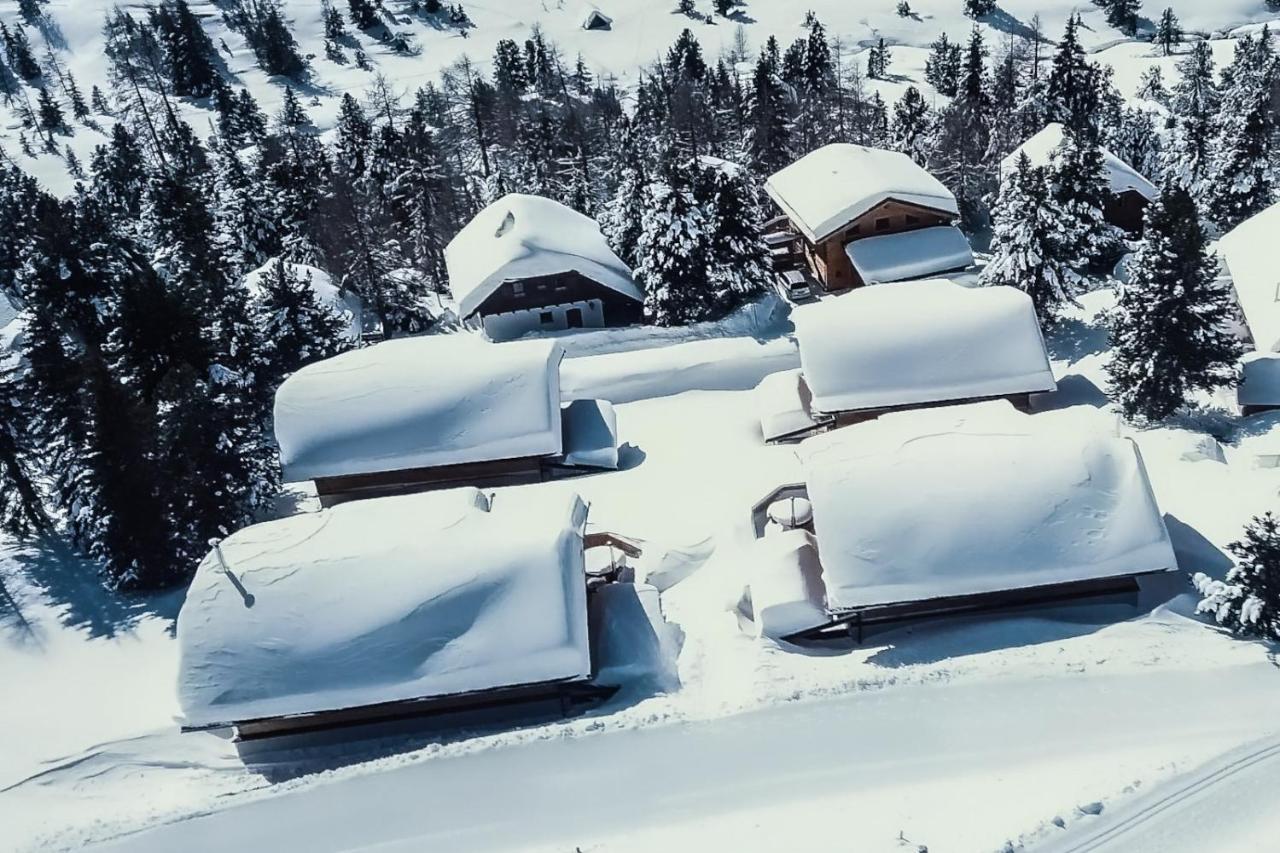 Heidi Chalets Falkert Heidialm - Chalets Bergwinter Patergassen Bagian luar foto