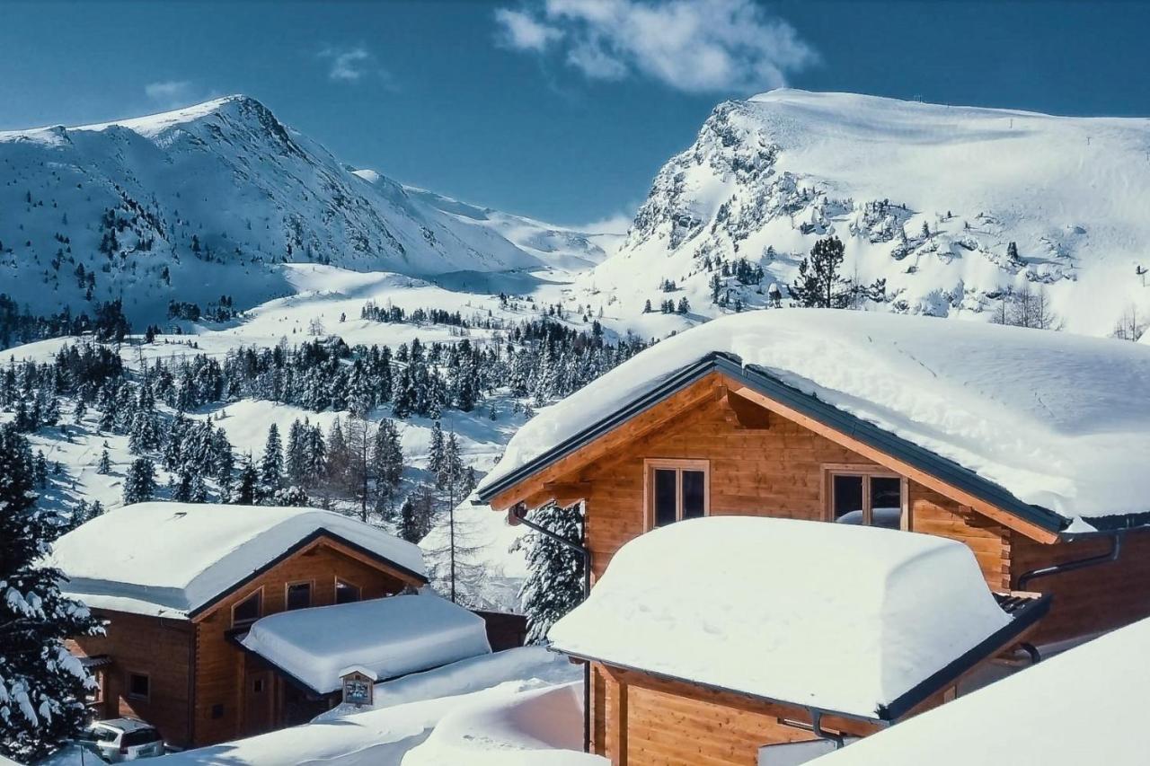 Heidi Chalets Falkert Heidialm - Chalets Bergwinter Patergassen Bagian luar foto