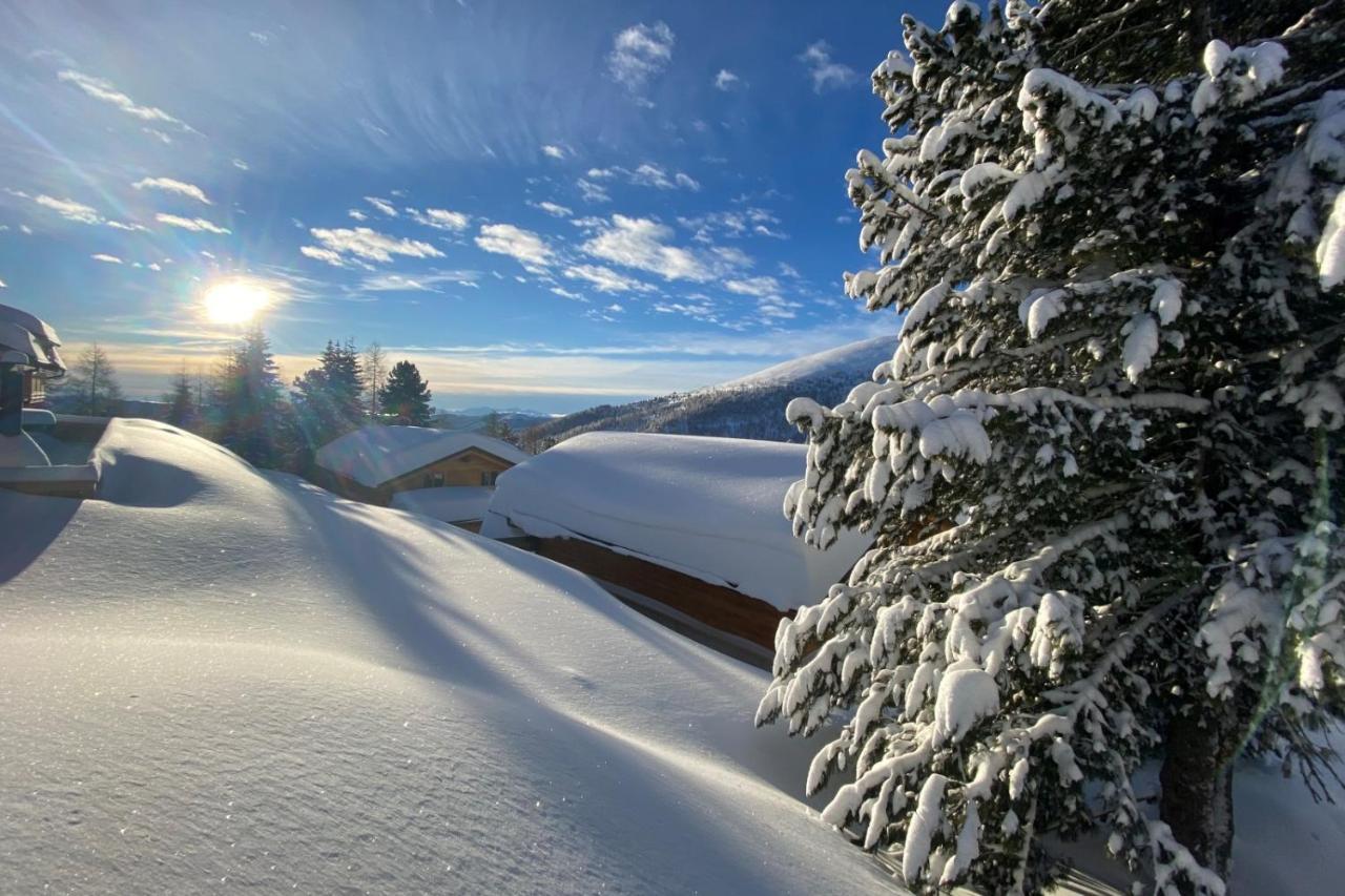 Heidi Chalets Falkert Heidialm - Chalets Bergwinter Patergassen Bagian luar foto